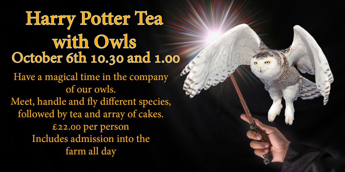 Harry Potter Tea with Owls