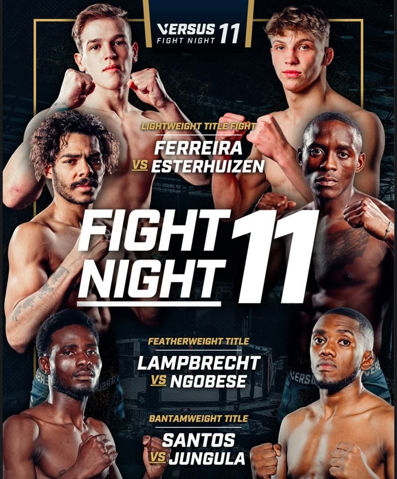 Versus Fight Night 11