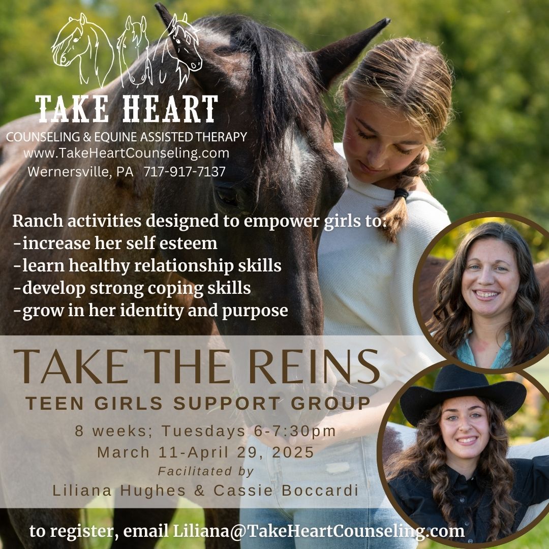 Take The Reins: Teen Girl Support Group