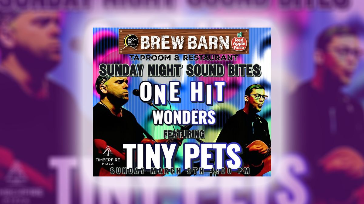 SUNDAY NIGHT SOUND BITES FEATURING TINY PETS: ONE HIT WONDERS MARCH 9TH