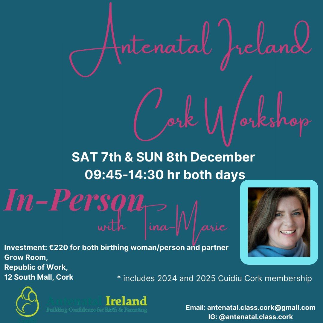 Cork Antenatal Ireland December Workshop