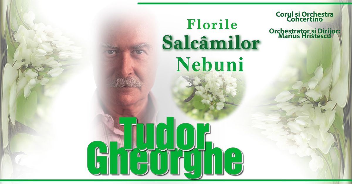 Tudor Gheorghe: Florile Salc\u00e2milor Nebuni