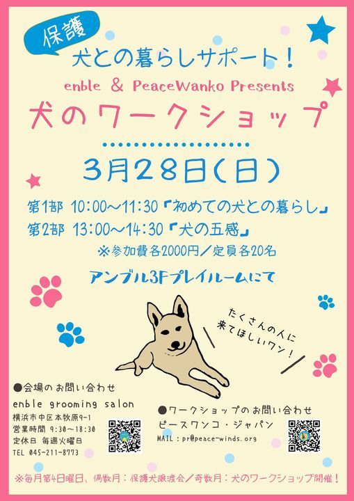 横浜本牧で 犬のワークショップ 開催 Enble ドッググルーミングサロン アンブル Yokohama 28 March 21