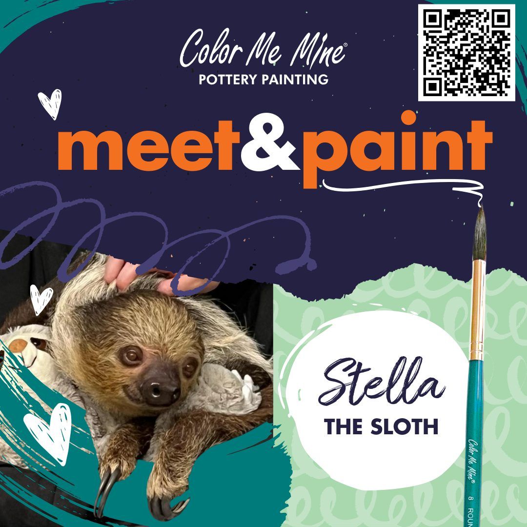 Meet, Pet LIVE Sloth and paint a sloth themed ceramic!