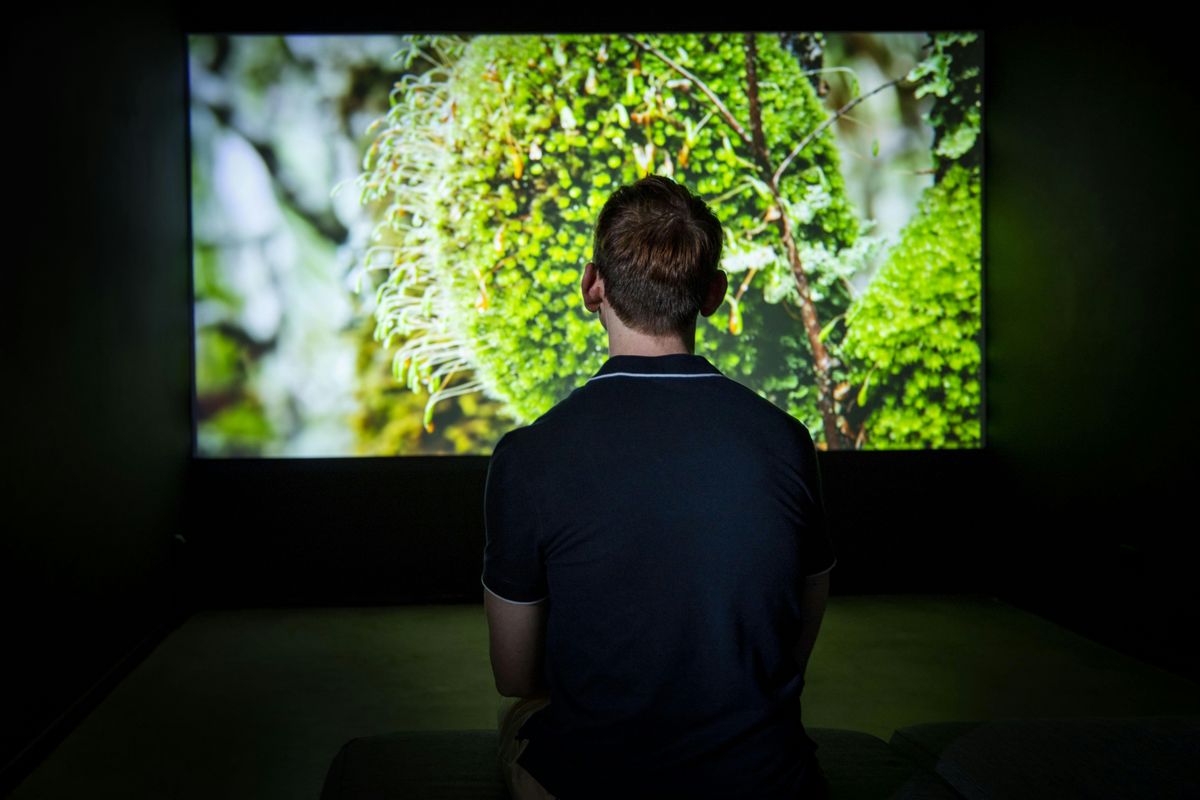 CURATOR TALK: POSTWORLD