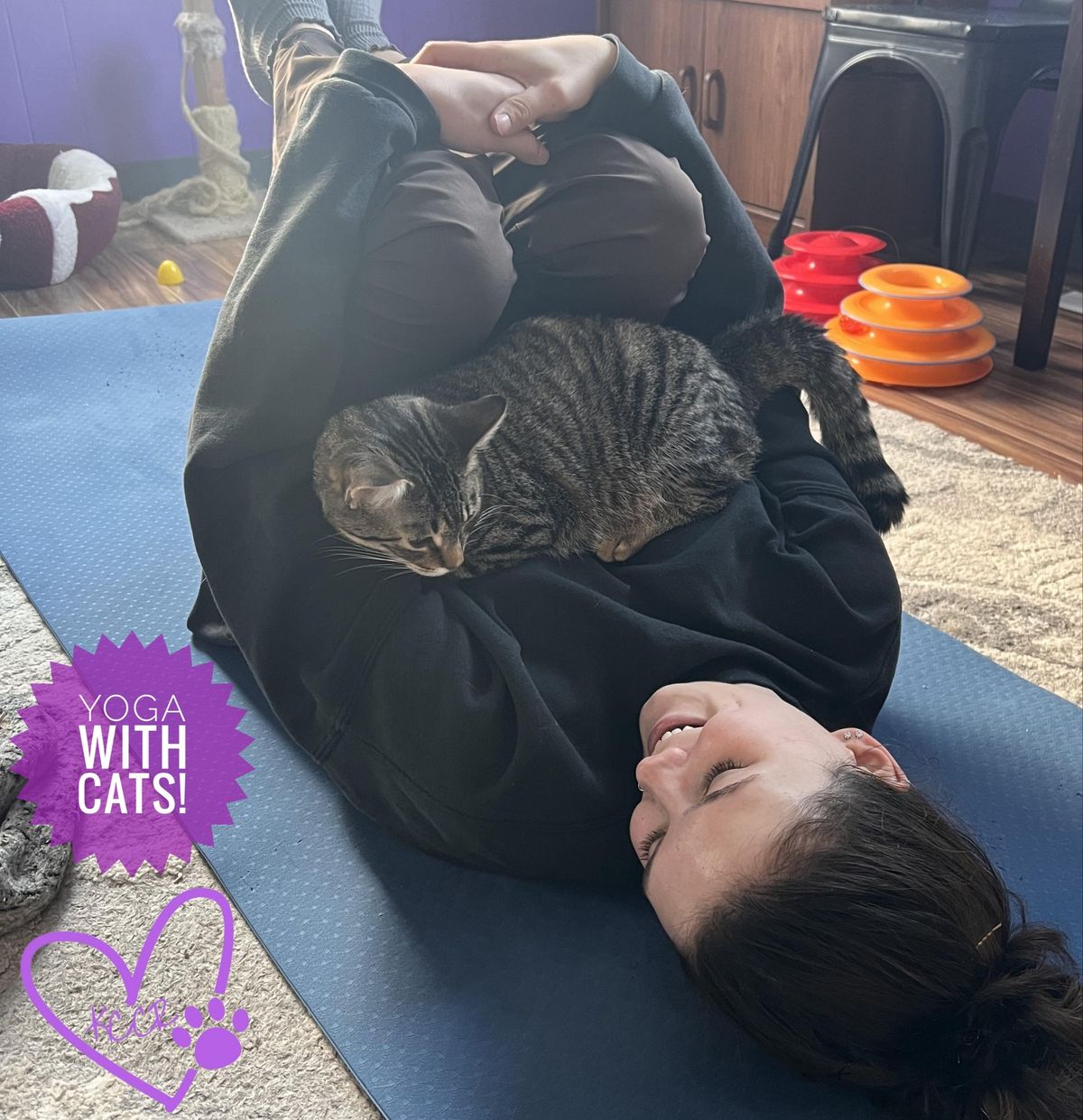 Yoga with Cats! 