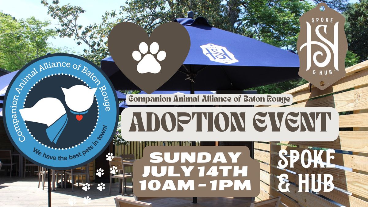Companion Animal Alliance Adoption Day at Spoke & Hub 