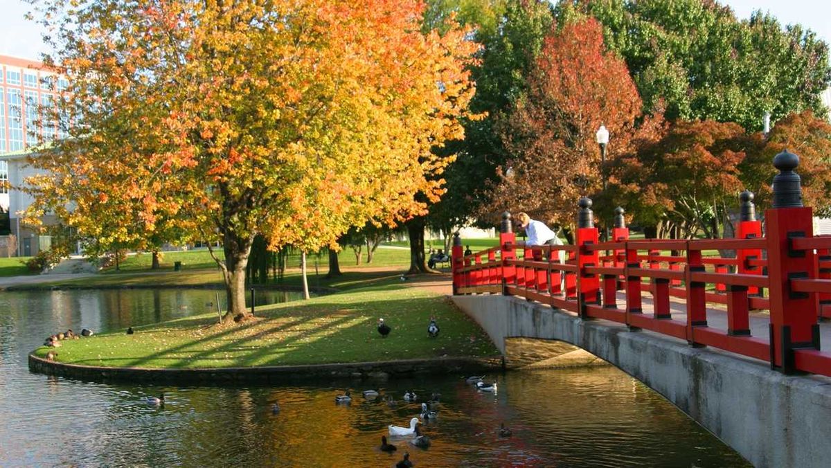 Parking & Juliet - Huntsville