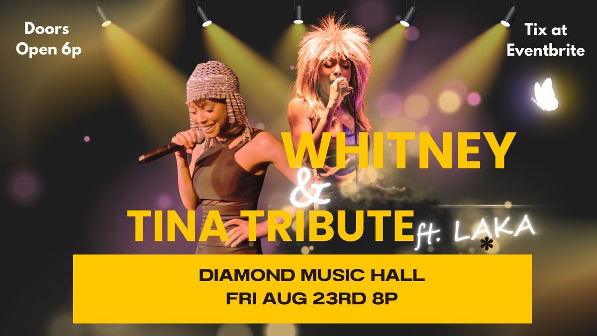 Tina Turner & Whitney Houston Tribute Featuring LAKA