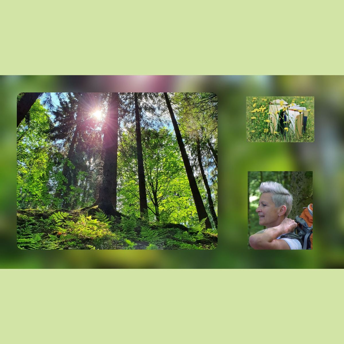 Waldbaden - Shinrin Yoku, der Wald als Therapeut! 5-Tage (R)Auszeit (als Bildungsurlaub anerkannt)