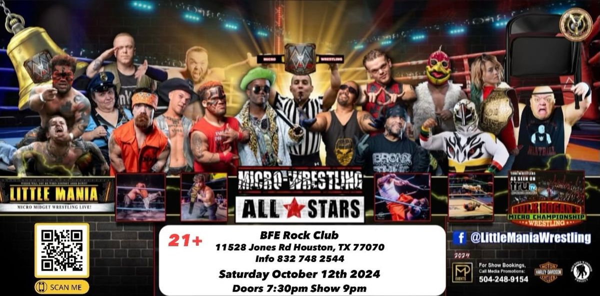 Micro Wrestling Allstars