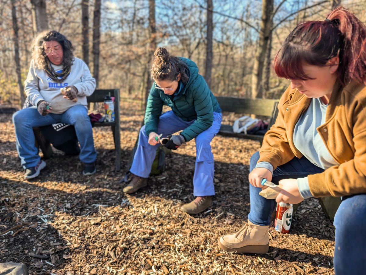 Adult Naturalist Series | Whittling in the Woods