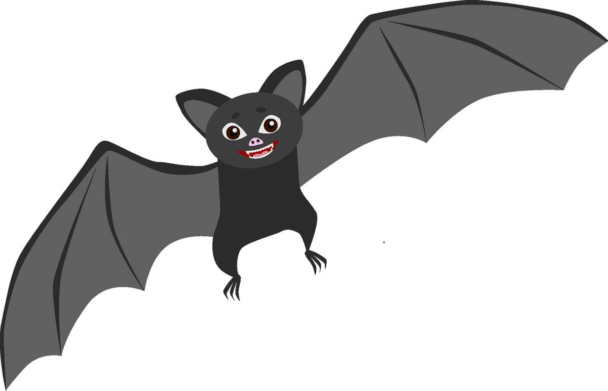Bats-Myths and Truths