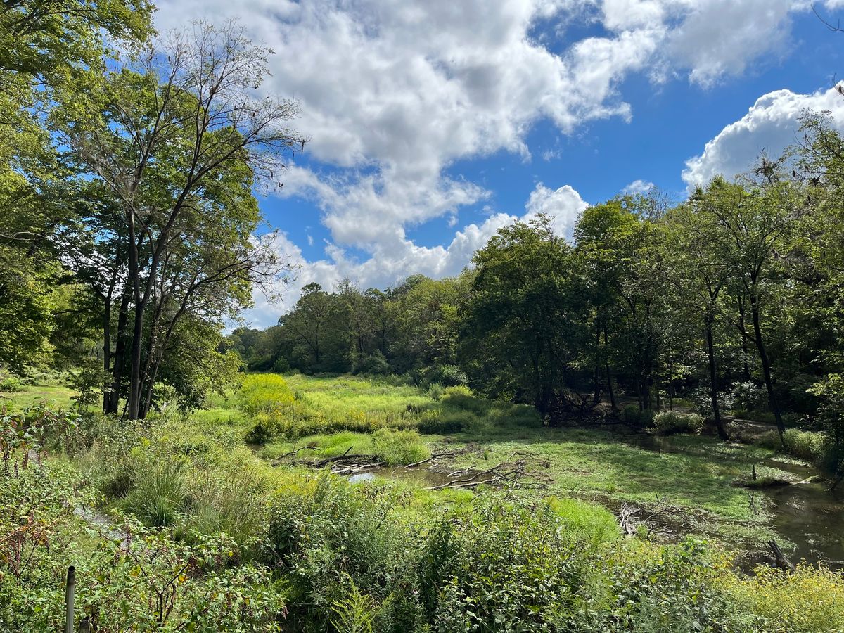 Community Volunteer Day at the Letort Spring Garden Preserve