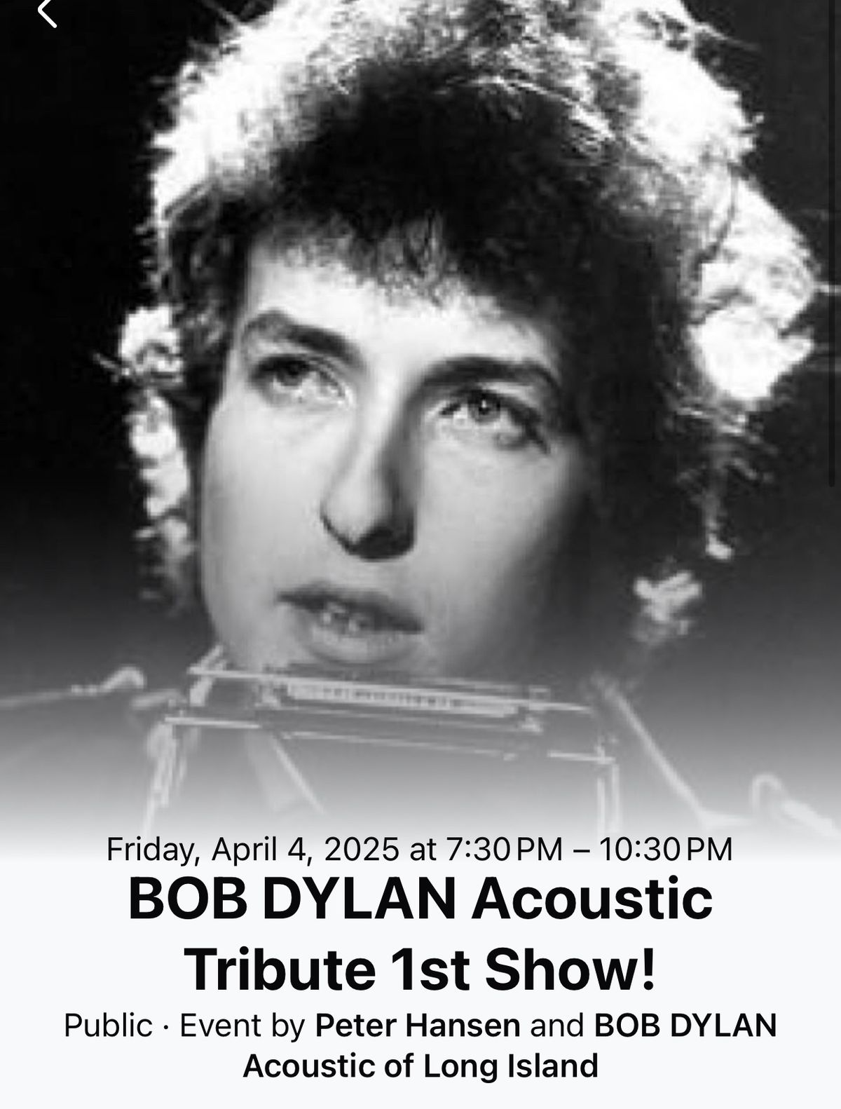 BOB DYLAN Acoustic Tribute Show #1