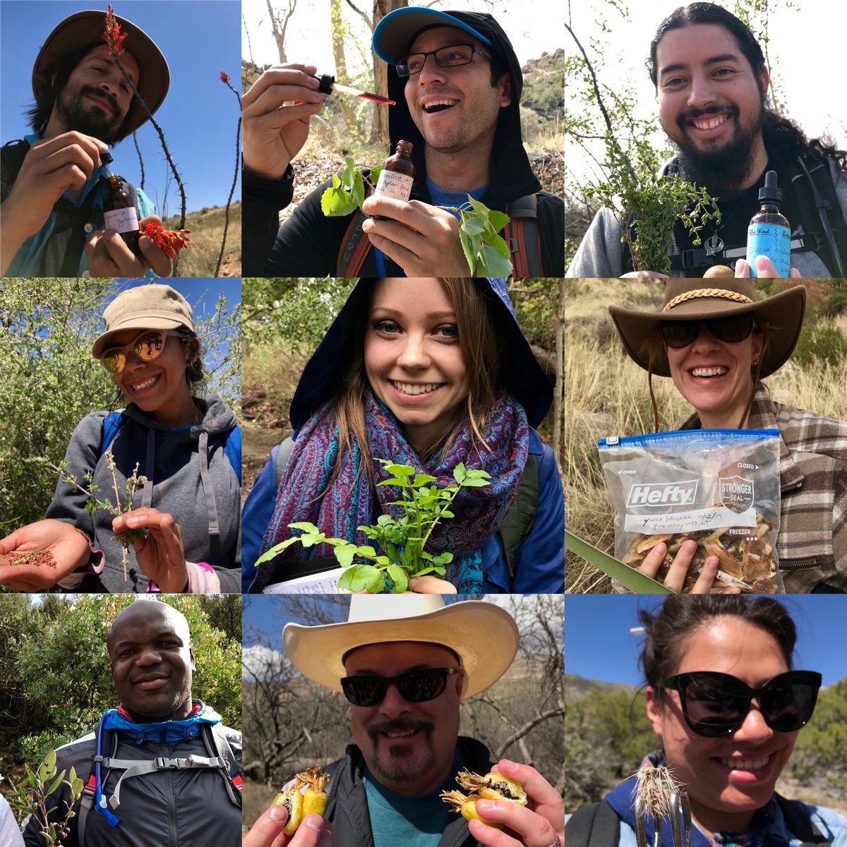 Edible & Medicinal Plants of the Northern Chihuahuan Desert