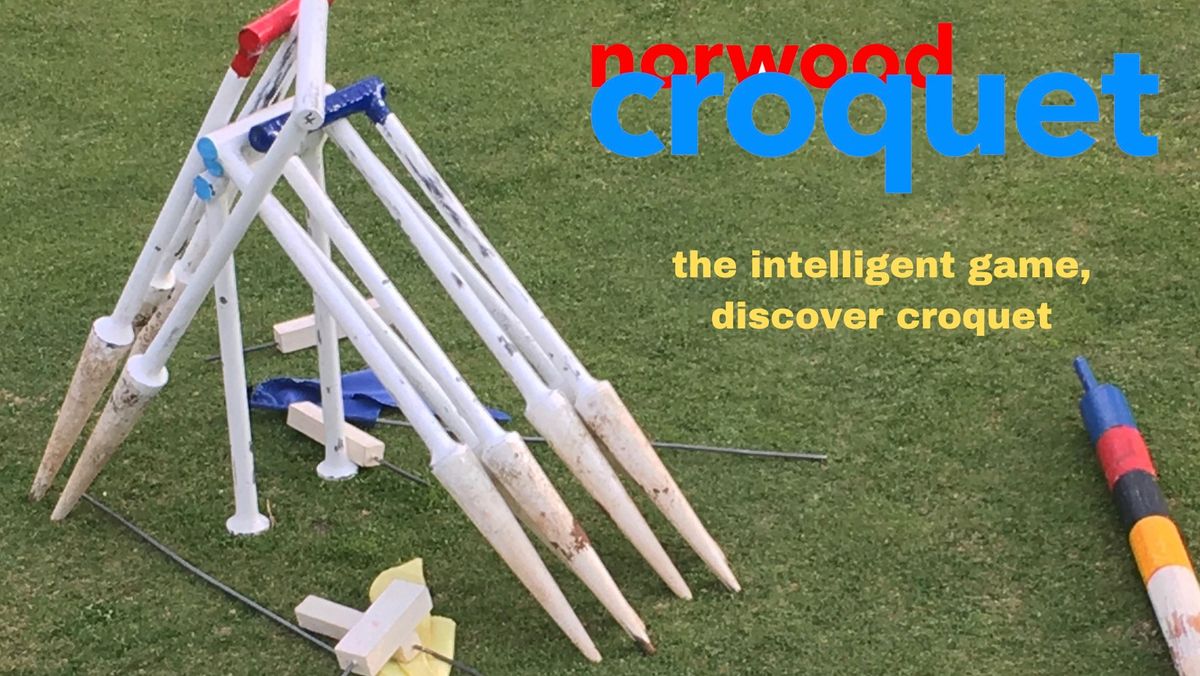 Introduction to Croquet