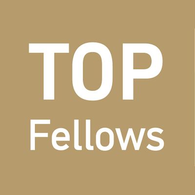 TU Wien TOP Fellows