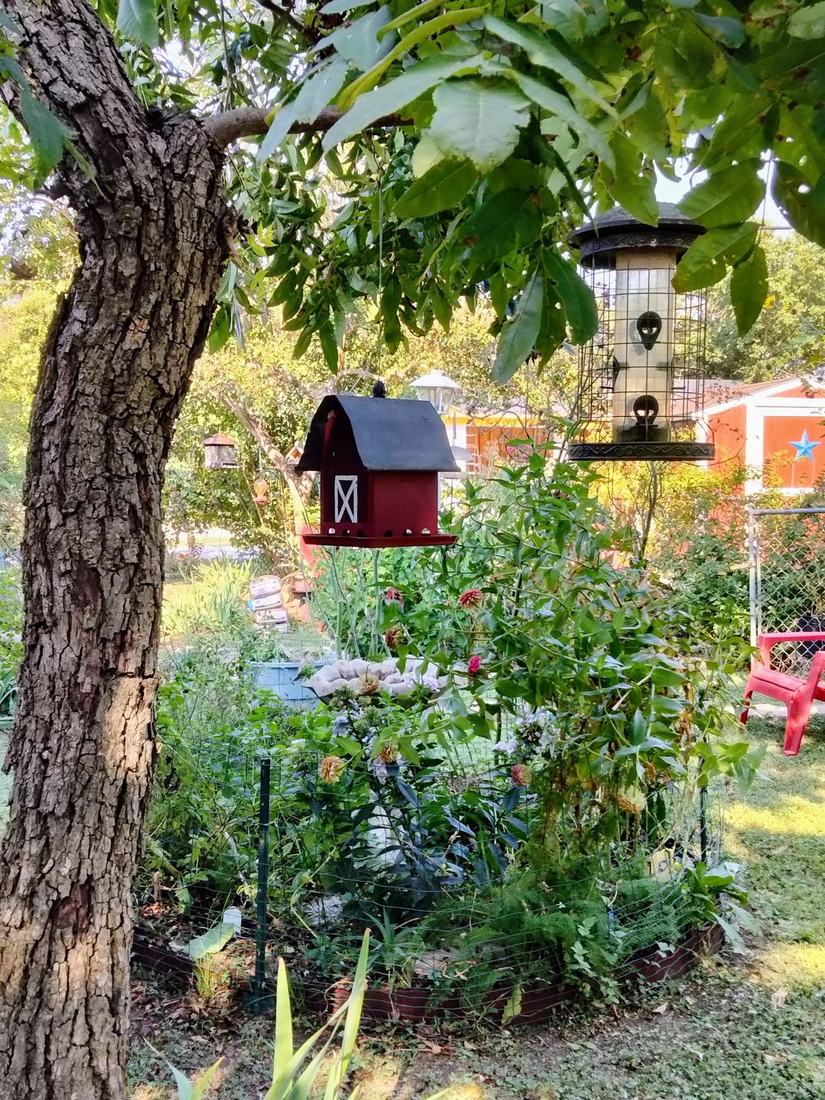 MCMGs Presents @ Waco Downtown Farmers Market: Creating Wildlife Habitats