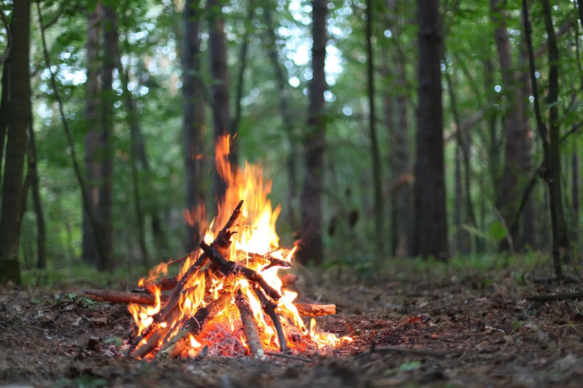 To Build a Fire - The Evolution of Making Fire