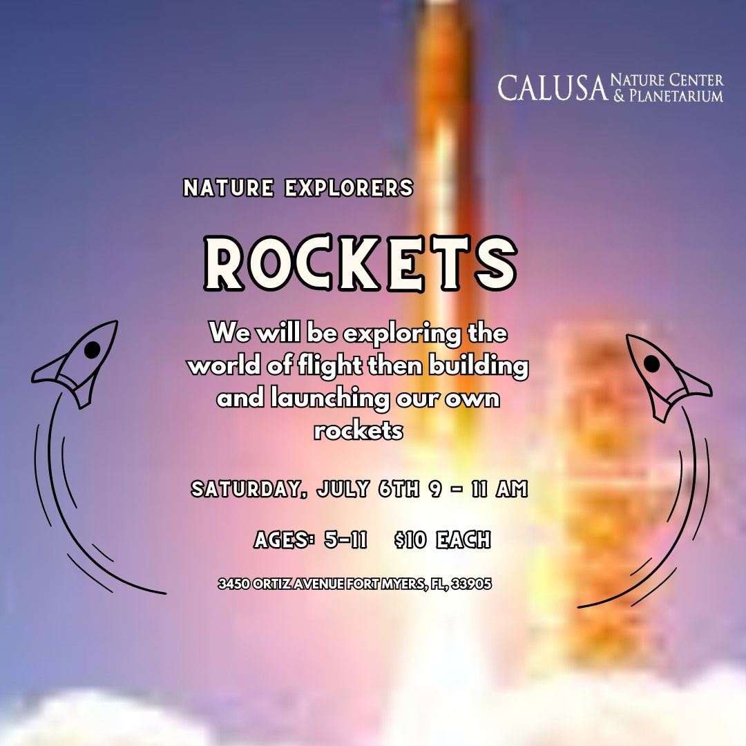 Nature Explorers: Rockets