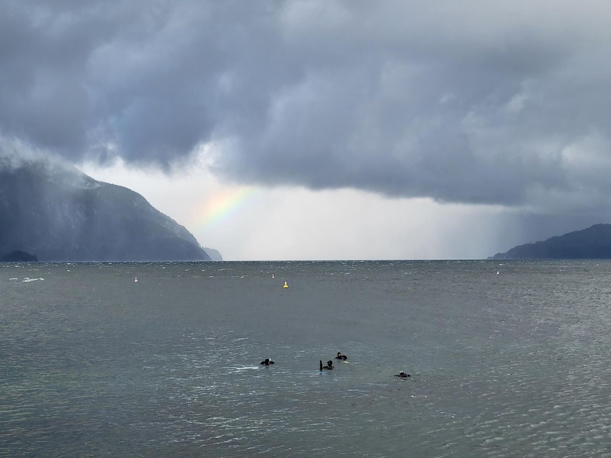 Porteau Cove Fun Dive! August 11