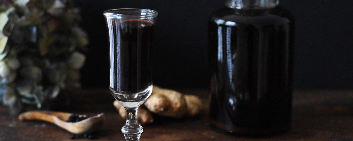 Elderberry Syrup Making Workshop