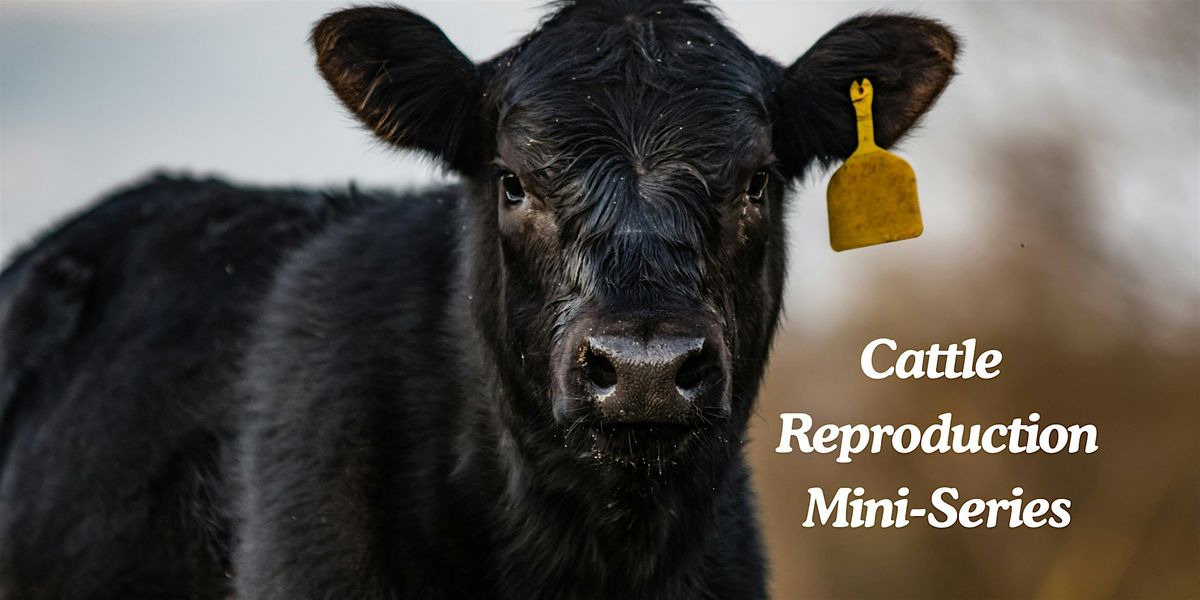 Cattle Reproduction Mini Series