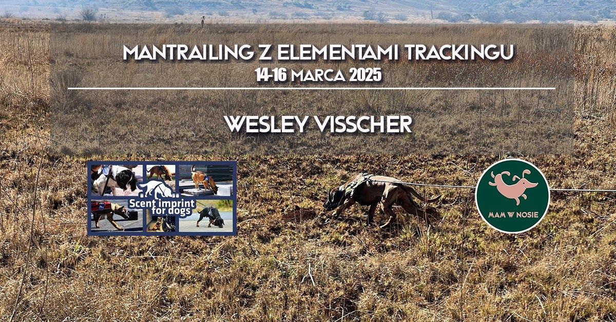 Mantrailing z elementami trackingu - Wesley Visscher (Scent Imprint for Dogs)