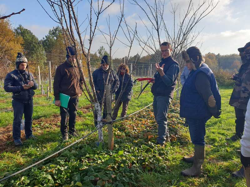 Stage "Taille hivernale d\u2019un verger diversifi\u00e9" (Samedi)