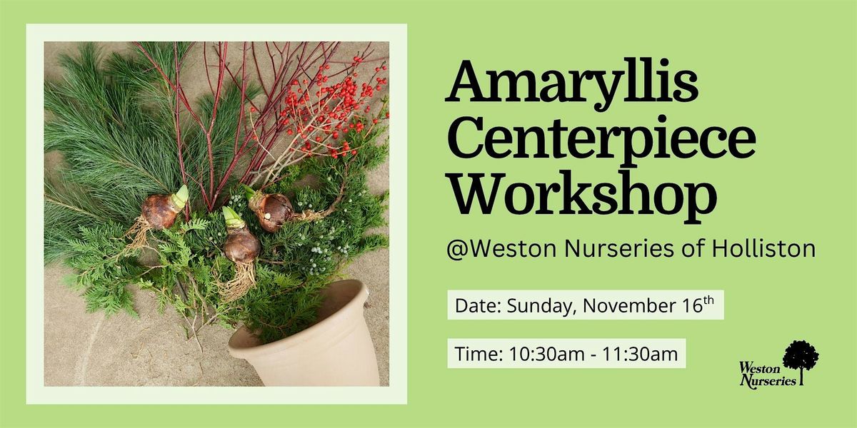 Amaryllis Centerpiece Workshop