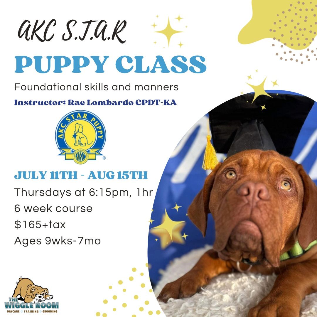 Puppy Elementary: AKC S.T.A.R Puppy Class