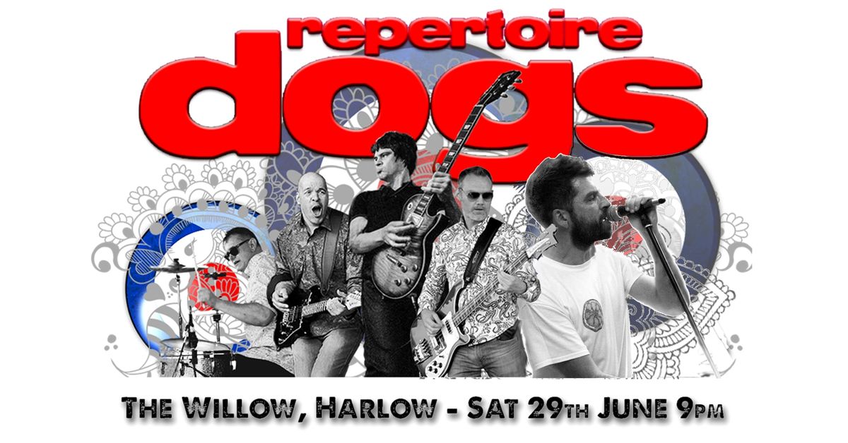 Repertoire Dogs @ The Willow, Harlow