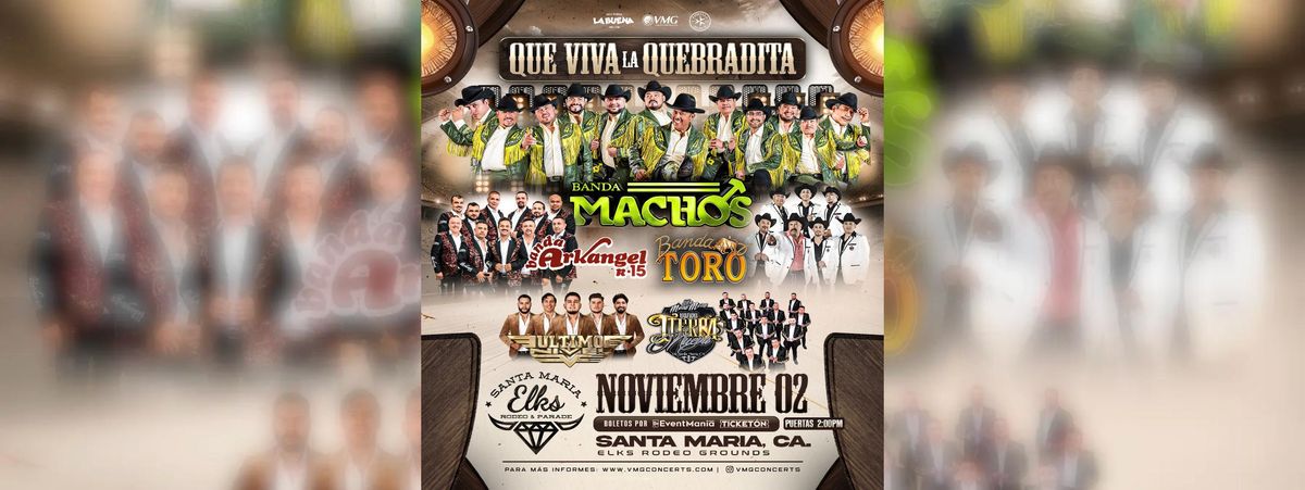 BANDA MACHOS, BANDA ARKANGEL R-15 Y MAS