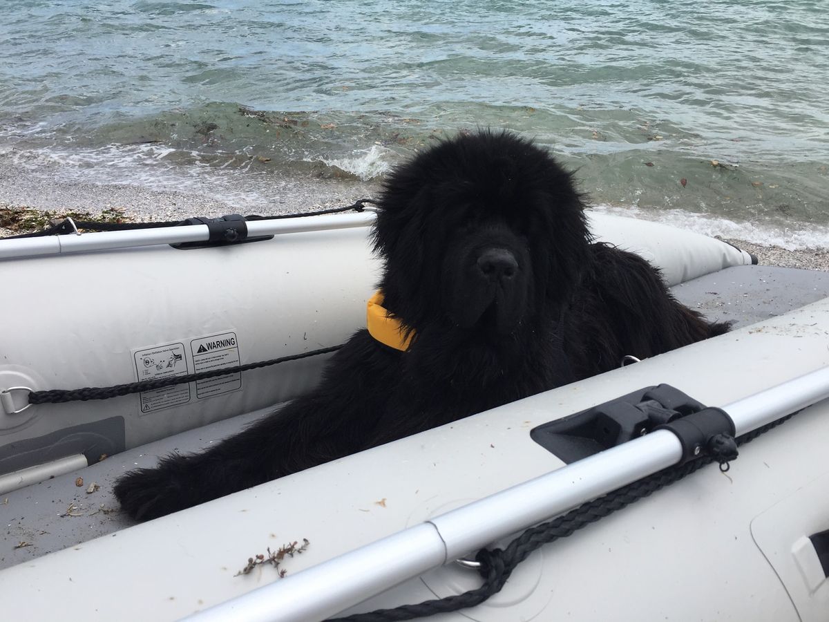 Water Training - Little Shoal Bay