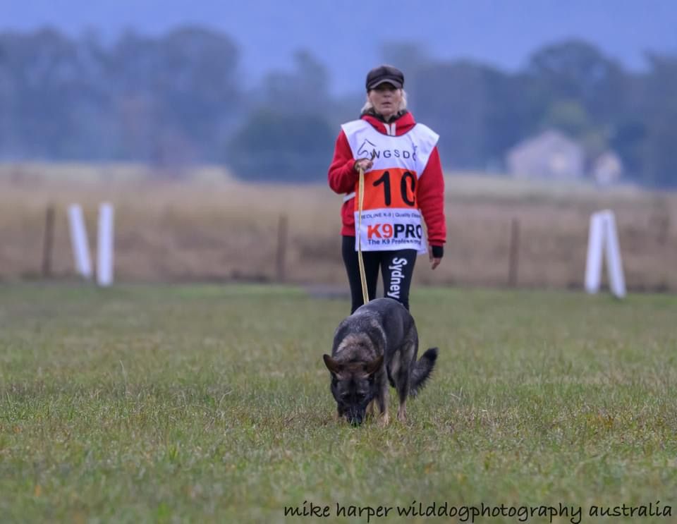 IGP Club Trial | Sydney Dogsport Club