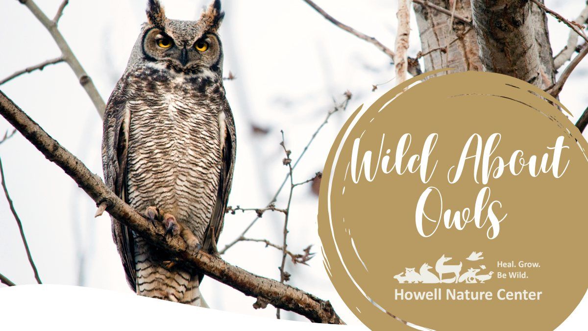 Wild About Owls \u00b7 February 8, 2025 \u00b7 6:00 pm - 8:00 pm