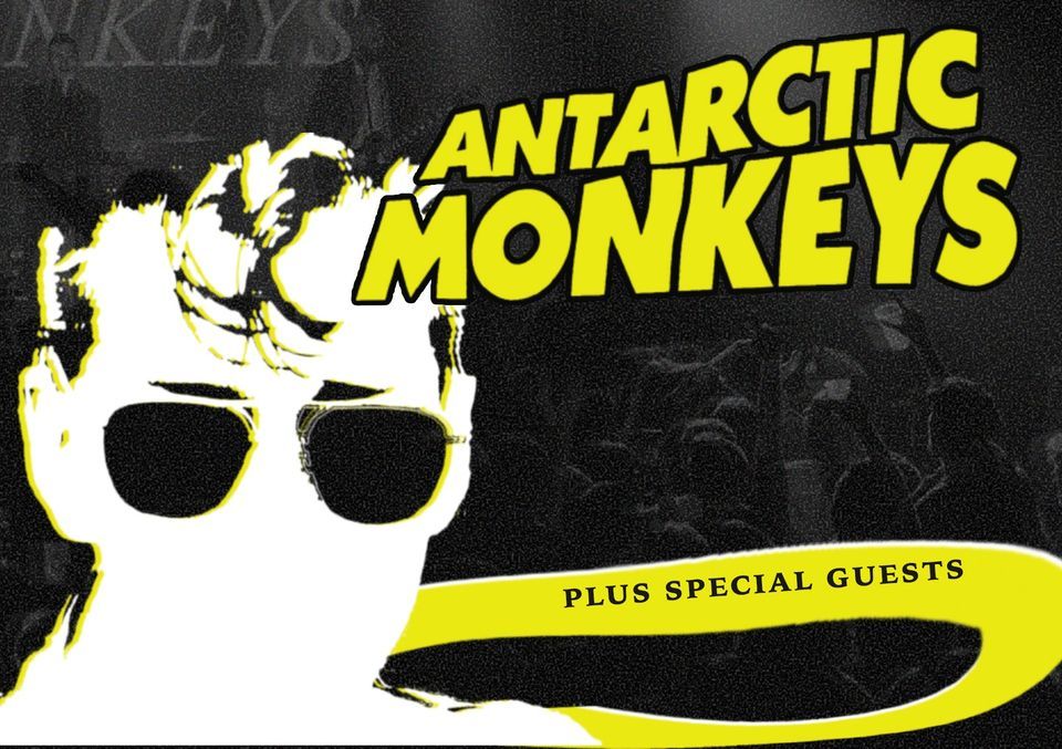 Antarctic Monkeys \/\/ Lincoln The Drill