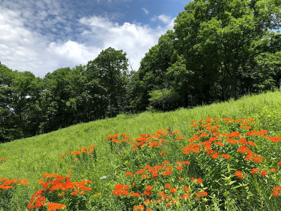 Tour at Robinson Park Nature Preserve