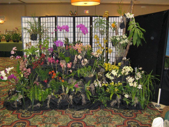 Orchids are a Scream - Eastern Iowa Orchid Society Show and Sale