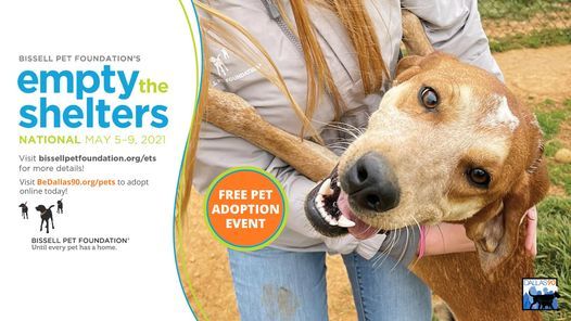 Empty The Shelters Adoption Event Online 5 May To 9 May