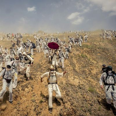 laif foundation gGmbH