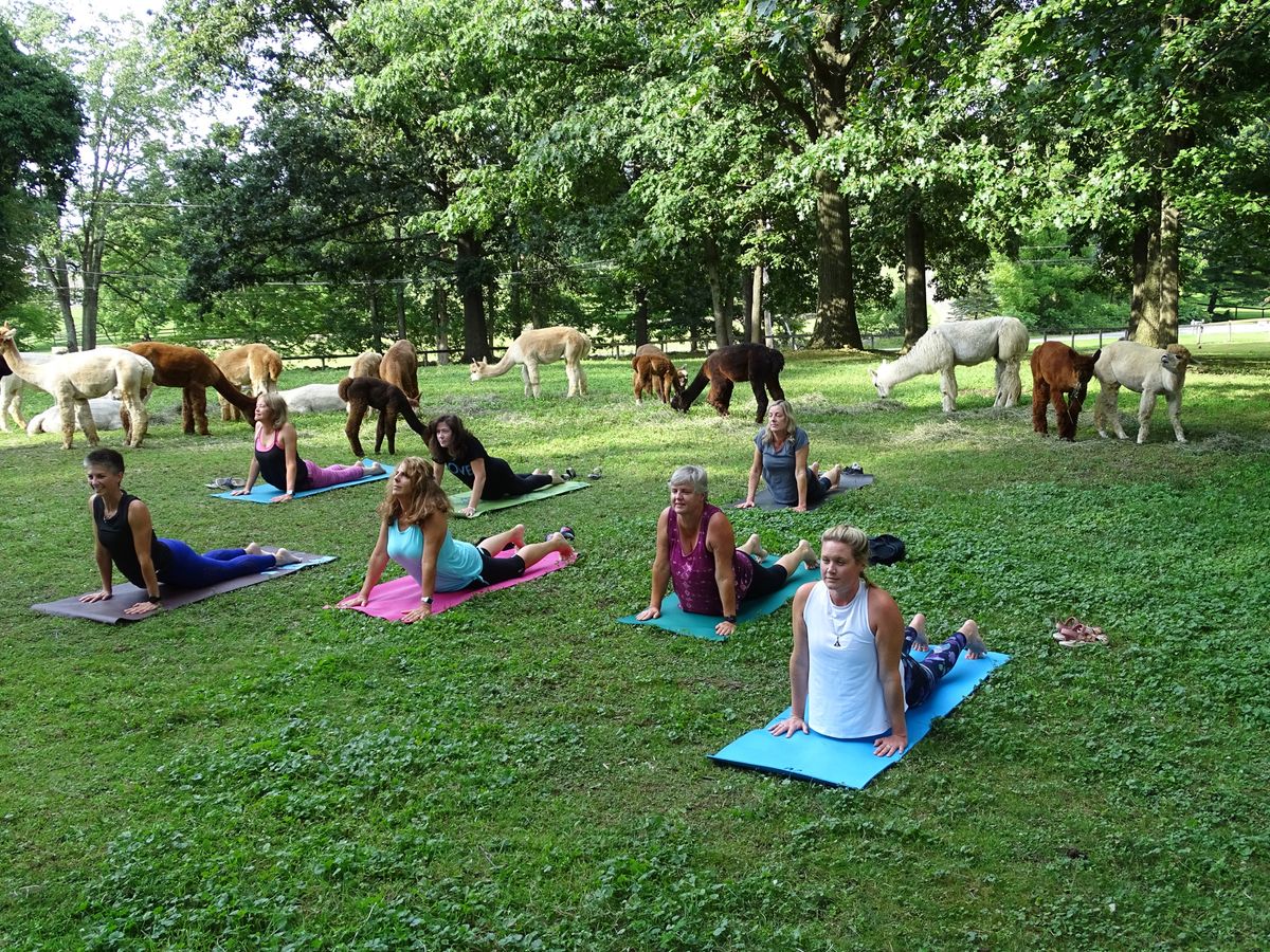 Paca Yoga