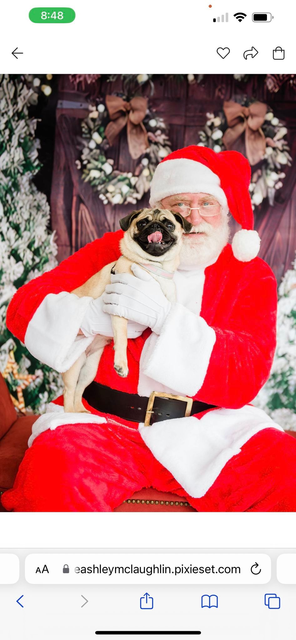 Annual PugHearts Pictures with Santa!