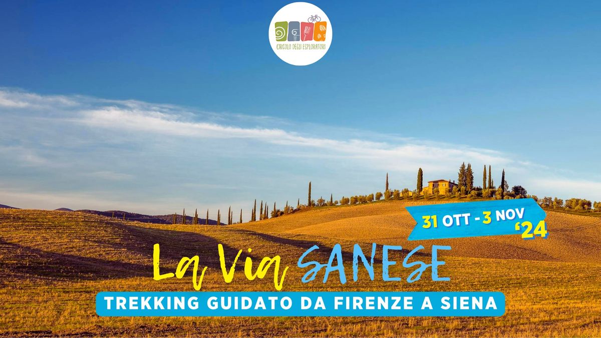 La Via Sanese \/\/ Trekking guidato da Firenze a Siena