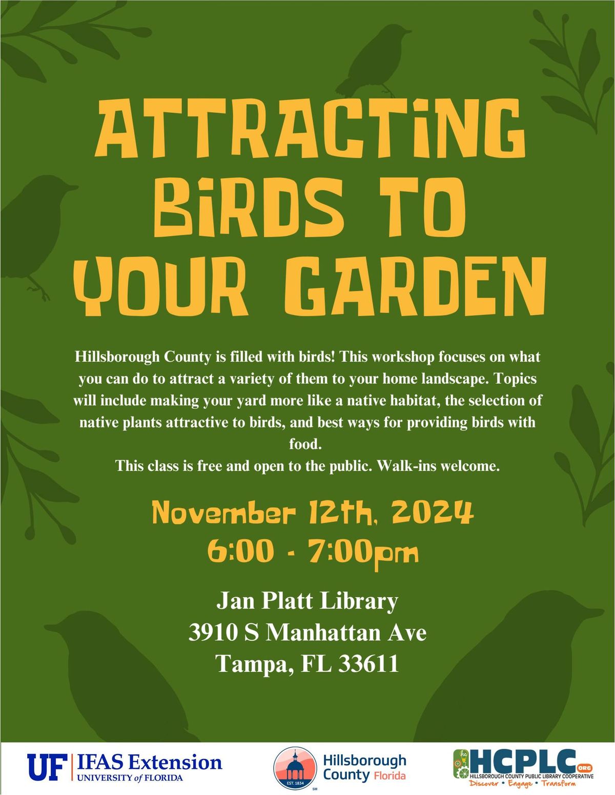 Attracting Birds to your Yard