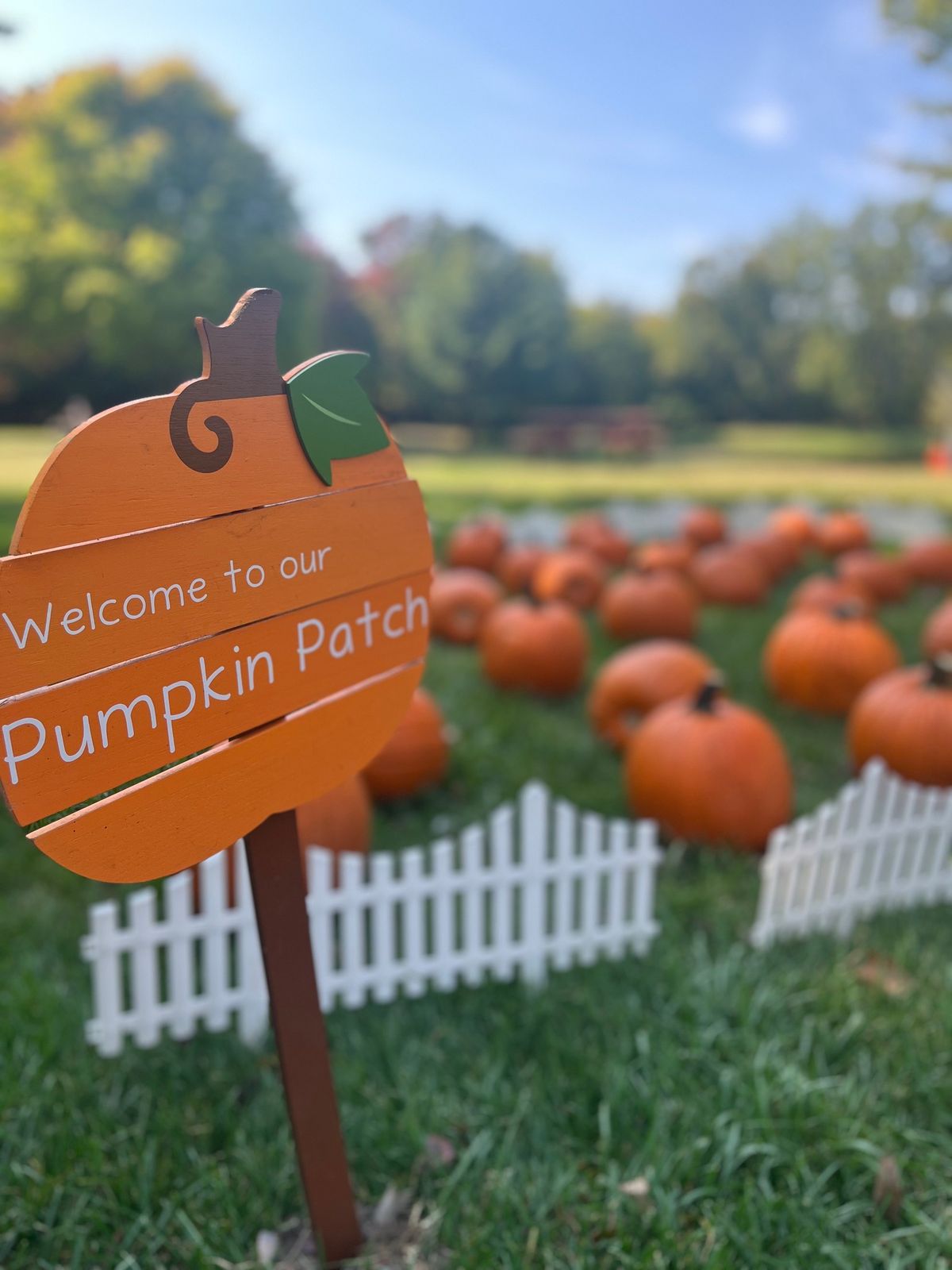 Pumpkin Patch Weekend 