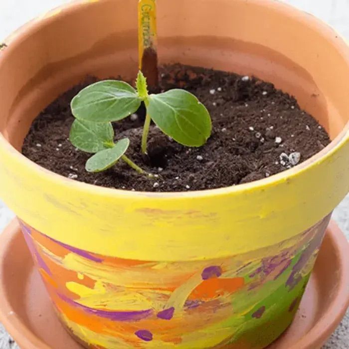 Spring Break Kid's Workshop: Plant and Paint!