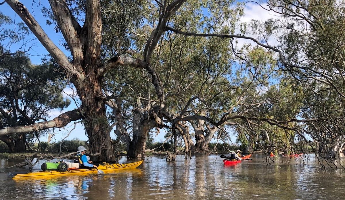 Chowilla kayak camping