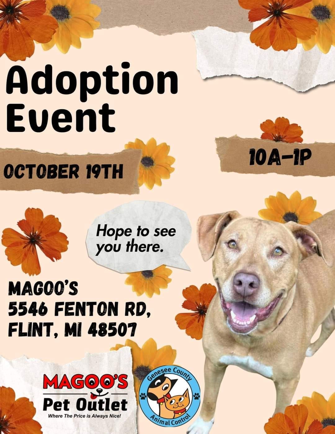 Adoption Event @ Magoo's